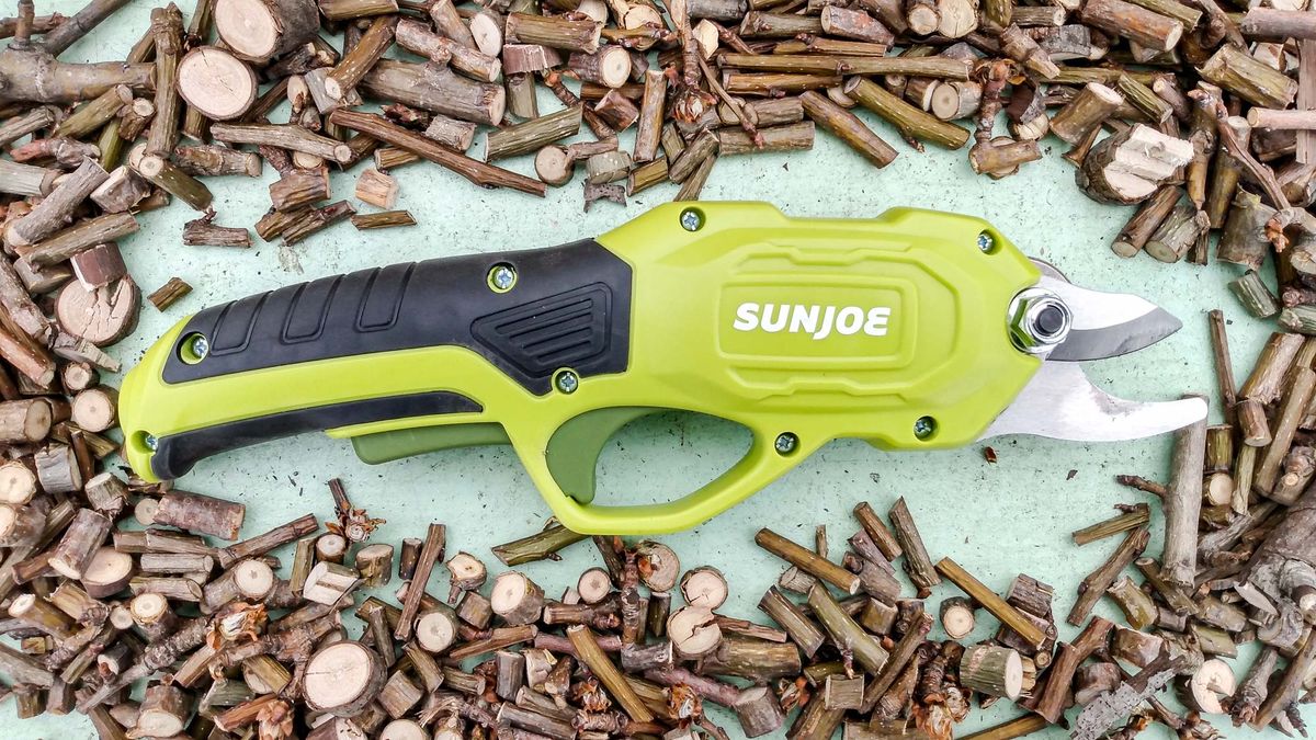 Best Pruning Shears: