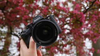 The Sony A7R VI photographed outdoors