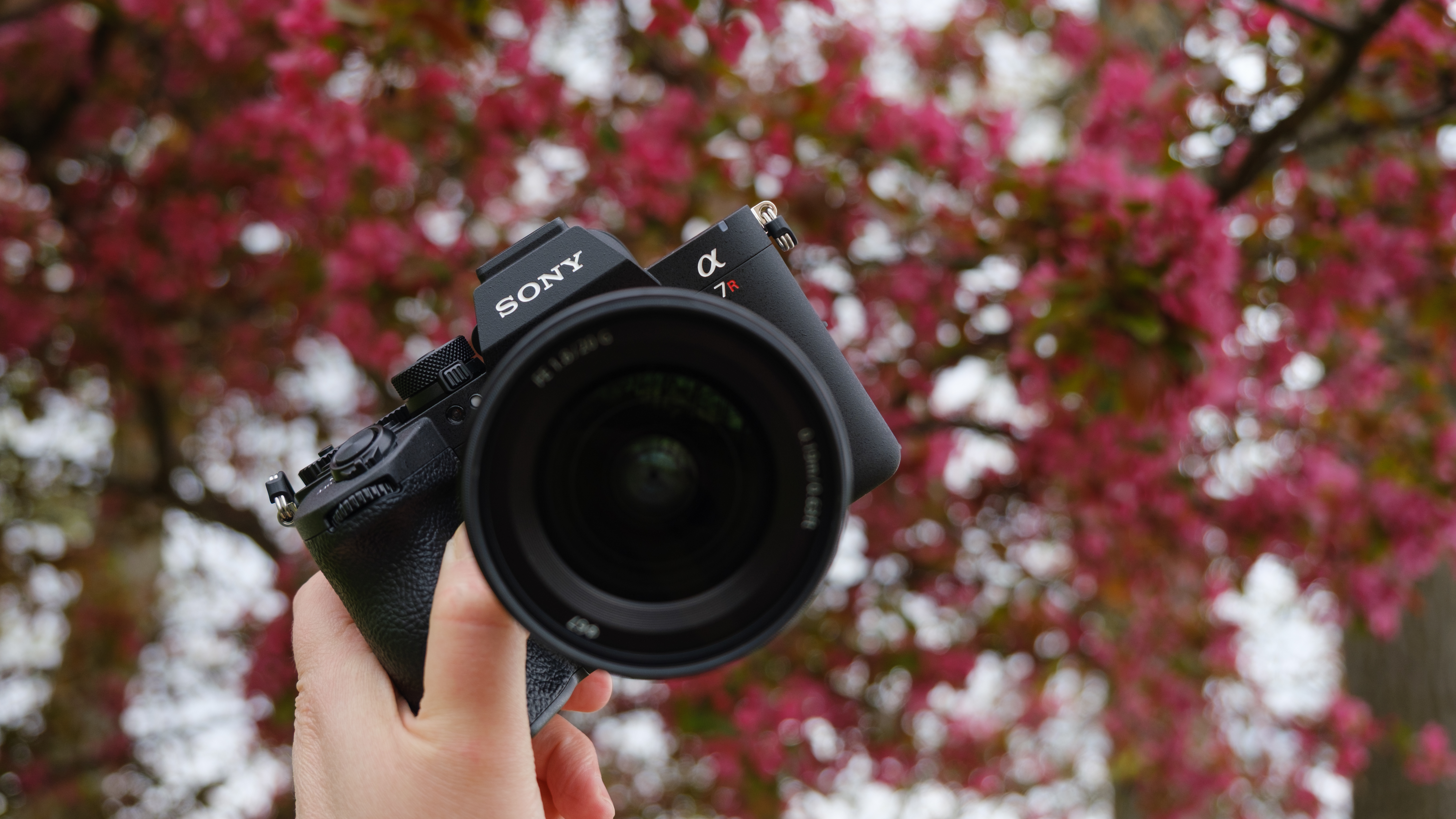 The Sony A7R VI photographed outdoors