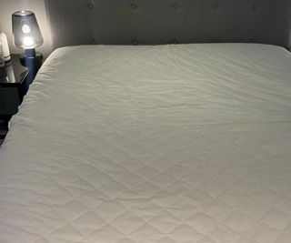 Amazon Basics Mattress Protector on a bed.
