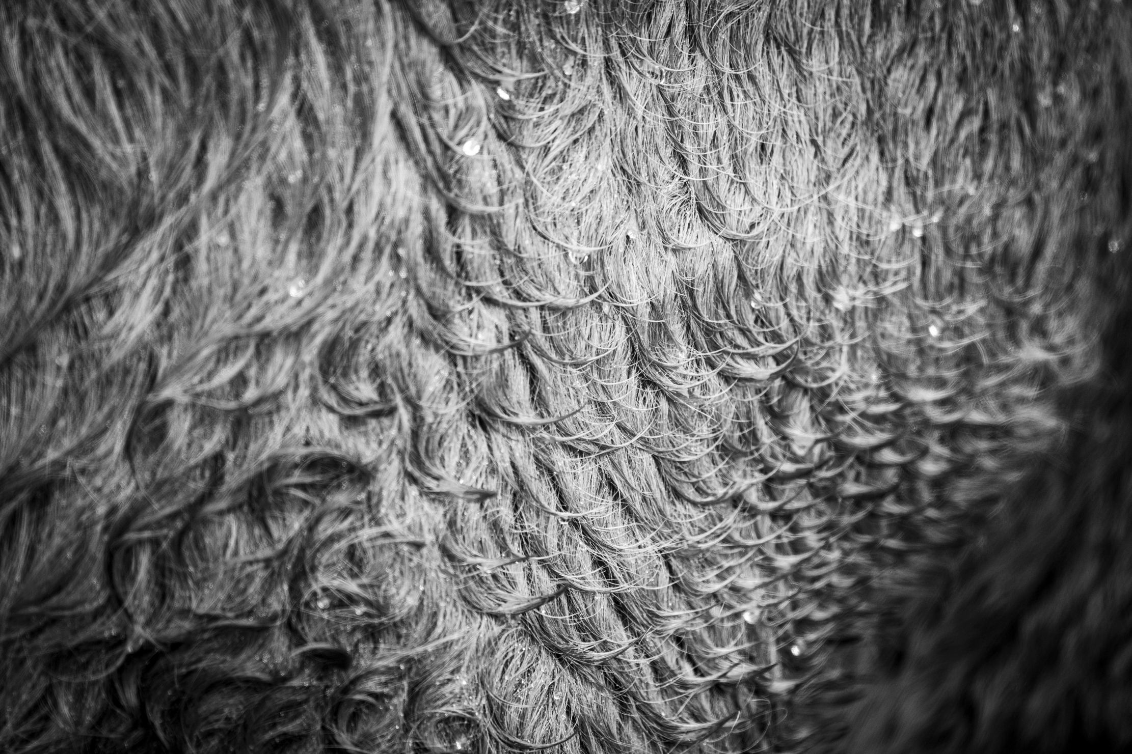 Images of the isle of Skye