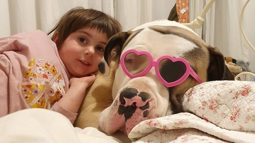 Barney the giant dog