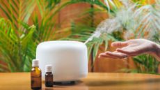 Best diffuser for essential oils