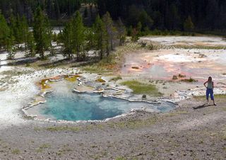 Octopus Spring in Yellowstone National Park is home to microbial mats that have a distinctive color.