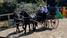 Sylvia-carriage-driving.jpeg