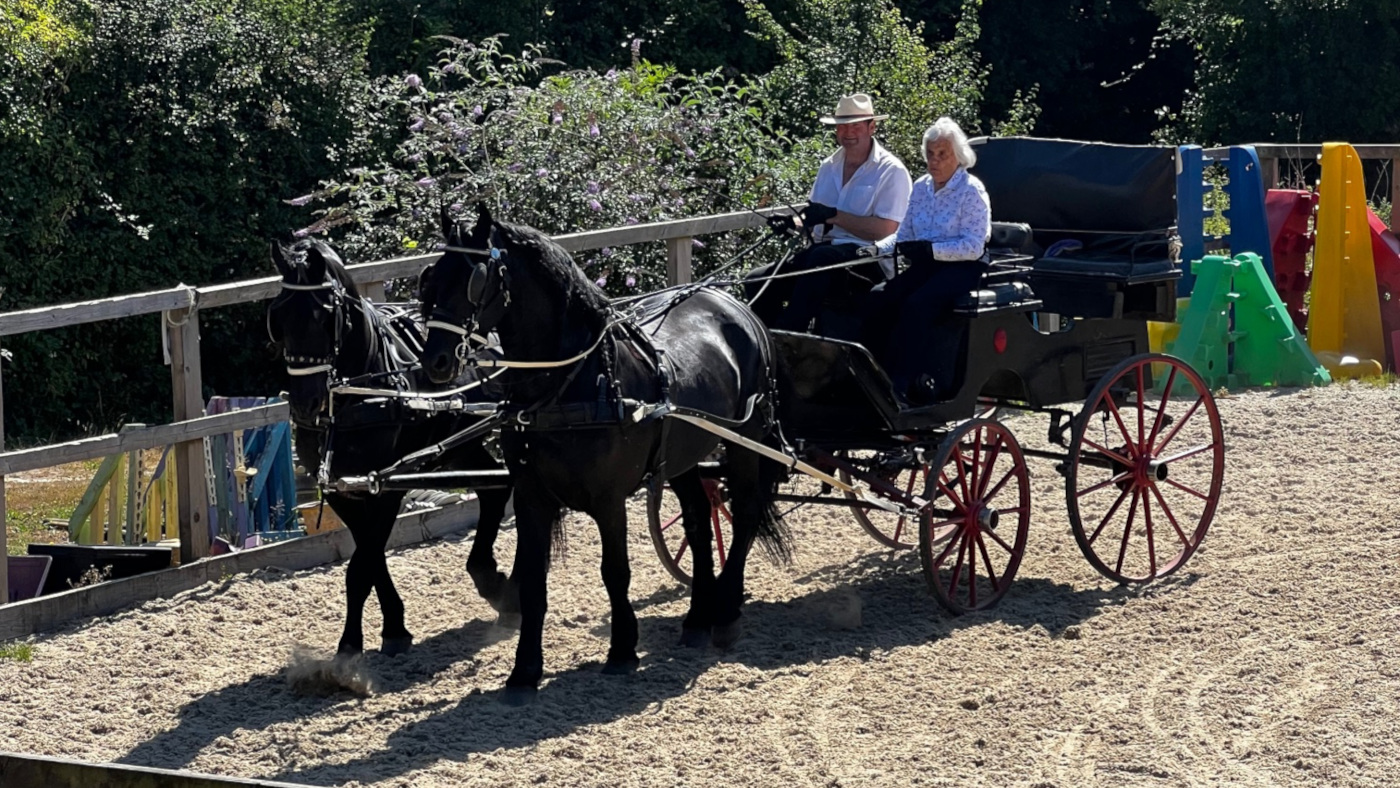 Sylvia-carriage-driving.jpeg