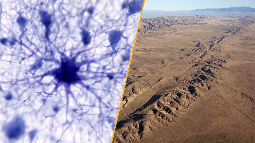 Engineering: News, features and articles | Live Science