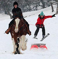 SkiJoring.jpg