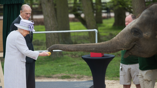 Queen Elizabeth II and Prince Philip, Duke of Edinburgh feed Donna the elephant as they visit the ZSL Whipsnade Zoo at the Elephant Centre on April 11, 2017, in Dunstable, United Kingdom