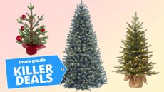 Christmas tree deals