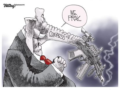 Editorial U.S. Congress Gun restrictions