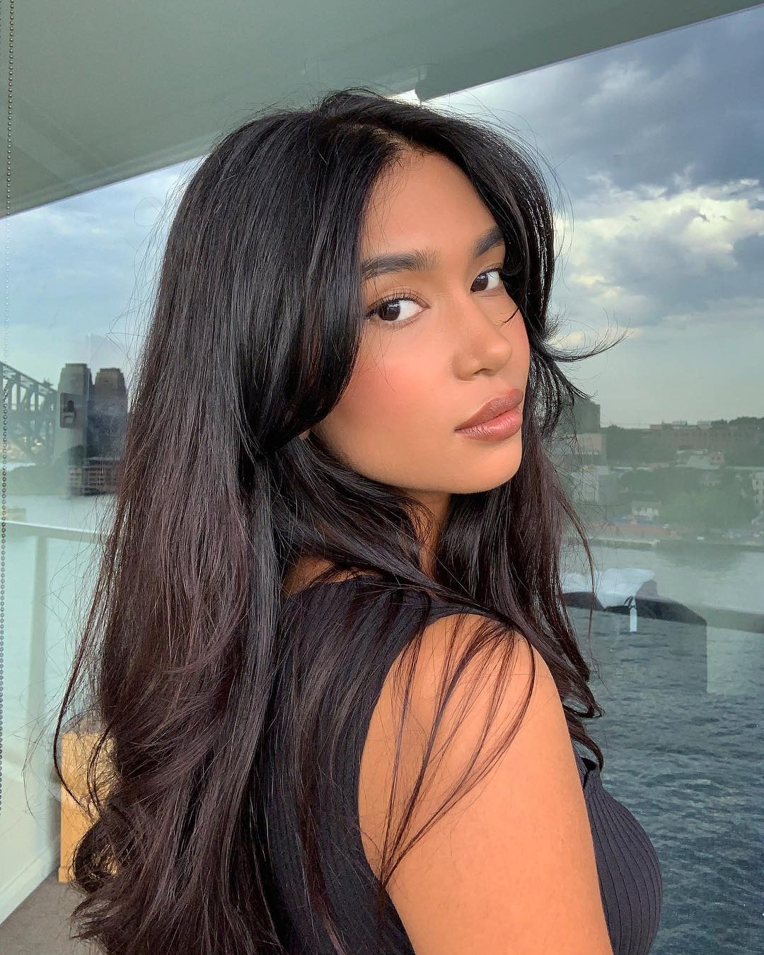 Glossy brunette hair