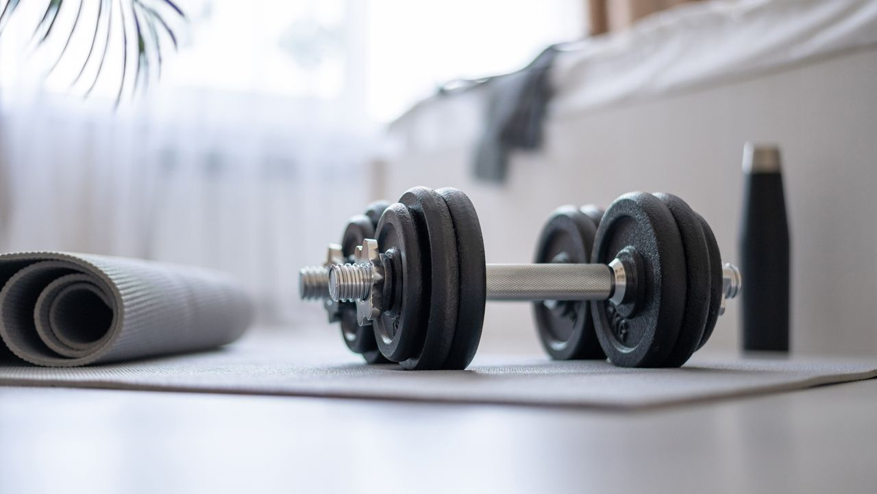 adjustable dumbells on a yoga mat next to a sofa and plant