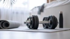 adjustable dumbells on a yoga mat next to a sofa and plant