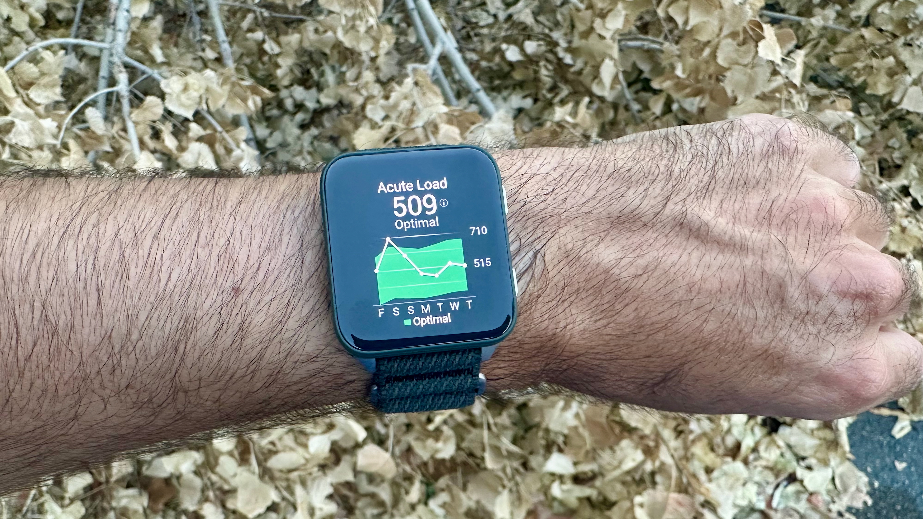 The Garmin Venu X1 on the author's wrist held above a pile of leaves, the display showing the Acute Load widget with the current "Optimal" load of 509 and a graph showing the load over the past week.