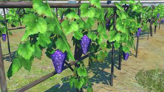 Final Fantasy 14: Endwalker close up of grapes