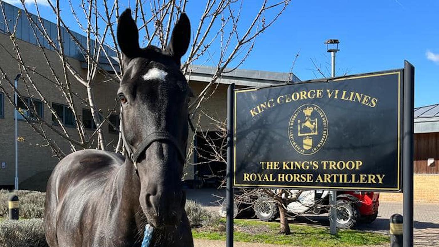 King&amp;rsquo;s Troop horse Cassius (Geoff) has retired