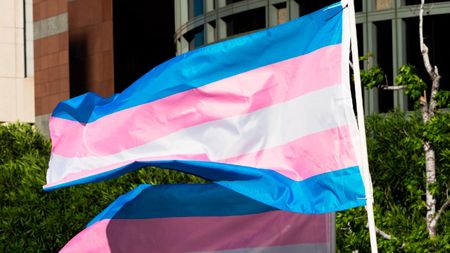 The transgender flag