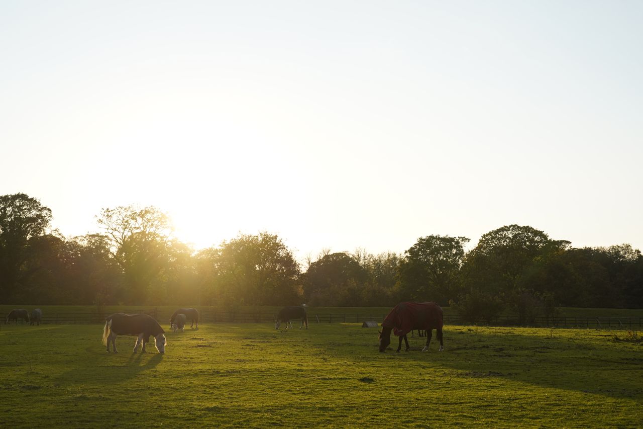 Sony A7C Sample