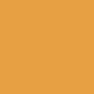 No. W76 Dutch Orange paint swatch by Farrow & Ball