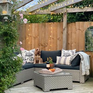 small patio with outdoor garden and dog