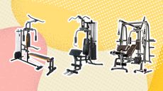 3 of the best multigyms on yellow and pink graphic