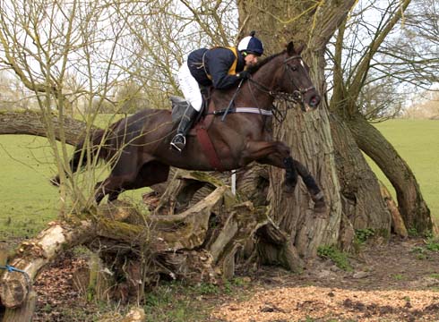 Denman at Worcester Team Chase - picture by Mile Freeman (xc photo's)
