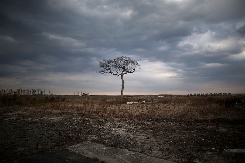 A lone tree stands on the tsunami-scarred landscape, inside the exclusion zone, close to the devastated Fukushima Daiichi Nuclear Power Plant, shown on Feb. 26, 2016.