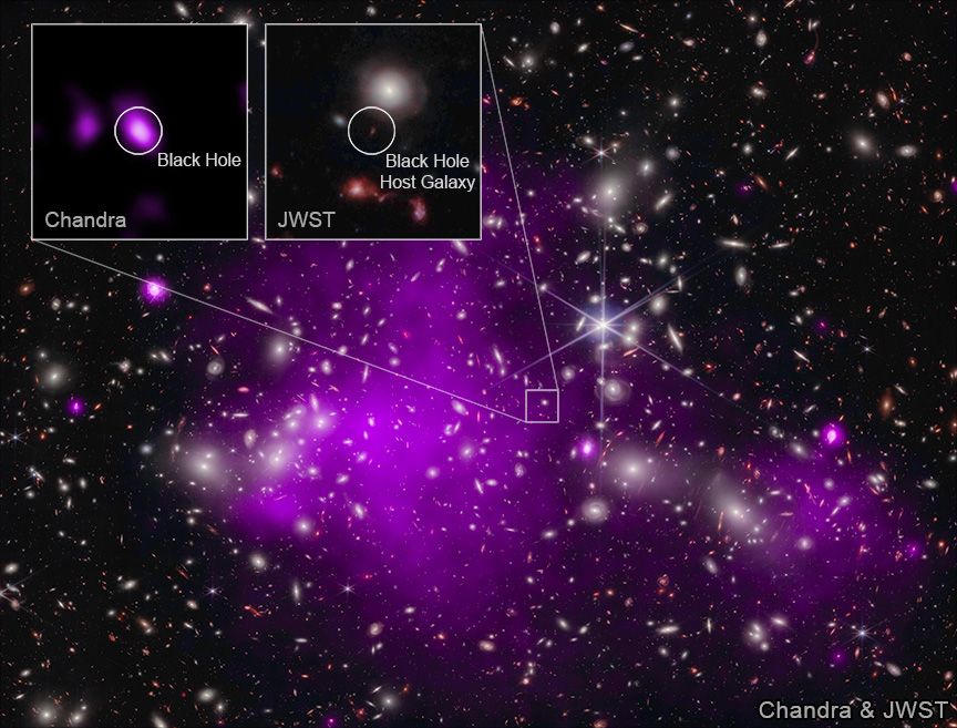 The composite image shows data from NASA's Chandra X-ray Observatory and James Webb Space Telescope. It features scores of seemingly tiny celestial objects in a sea of black. This is the galaxy cluster Abell 2744. When magnified, the tiny white, orange, and purple celestial objects are revealed to be spiral and elliptical galaxies, and gleaming stars. Many of these colorful specks appear to float in a neon purple cloud of X-ray gas in the center of the image, some 3.5 billion light-years from Earth.