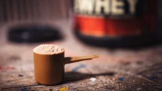 Protein powder for weight loss