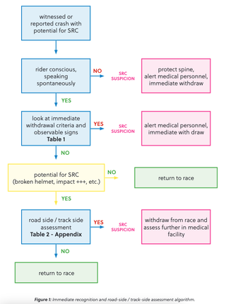 The concussion protocol decision tree