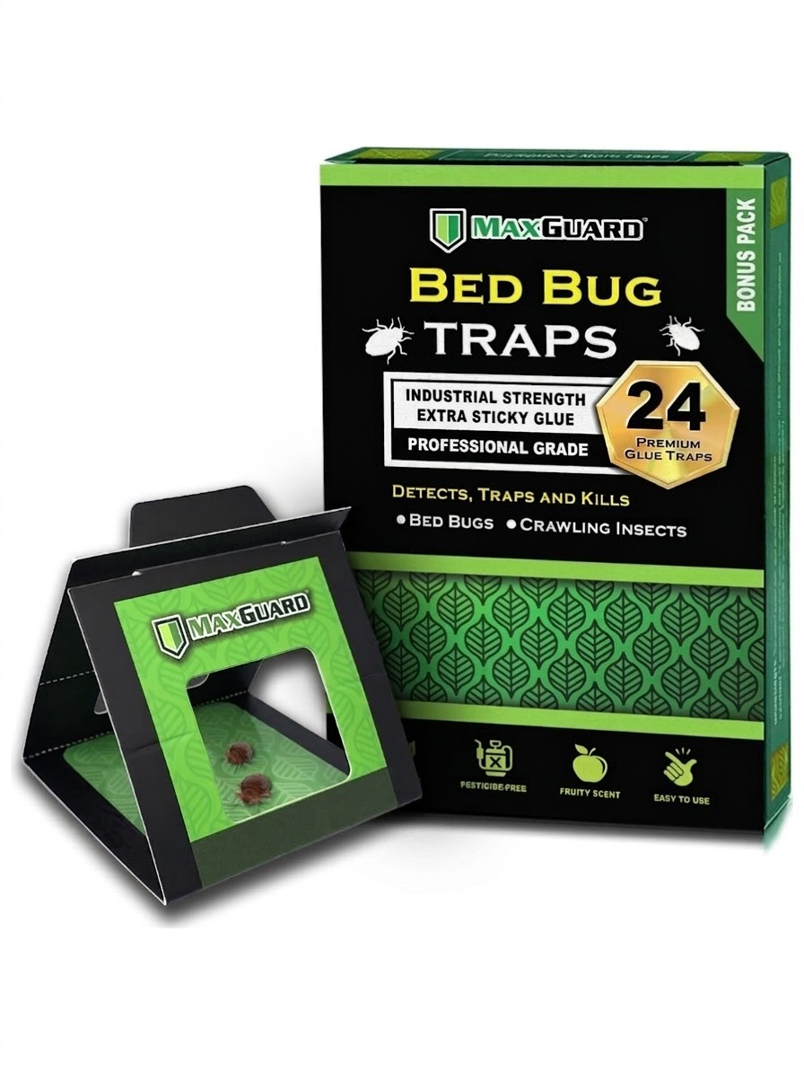 A box of Maxguard Bed Bug traps and a folded trap with bed bugs stuck to it