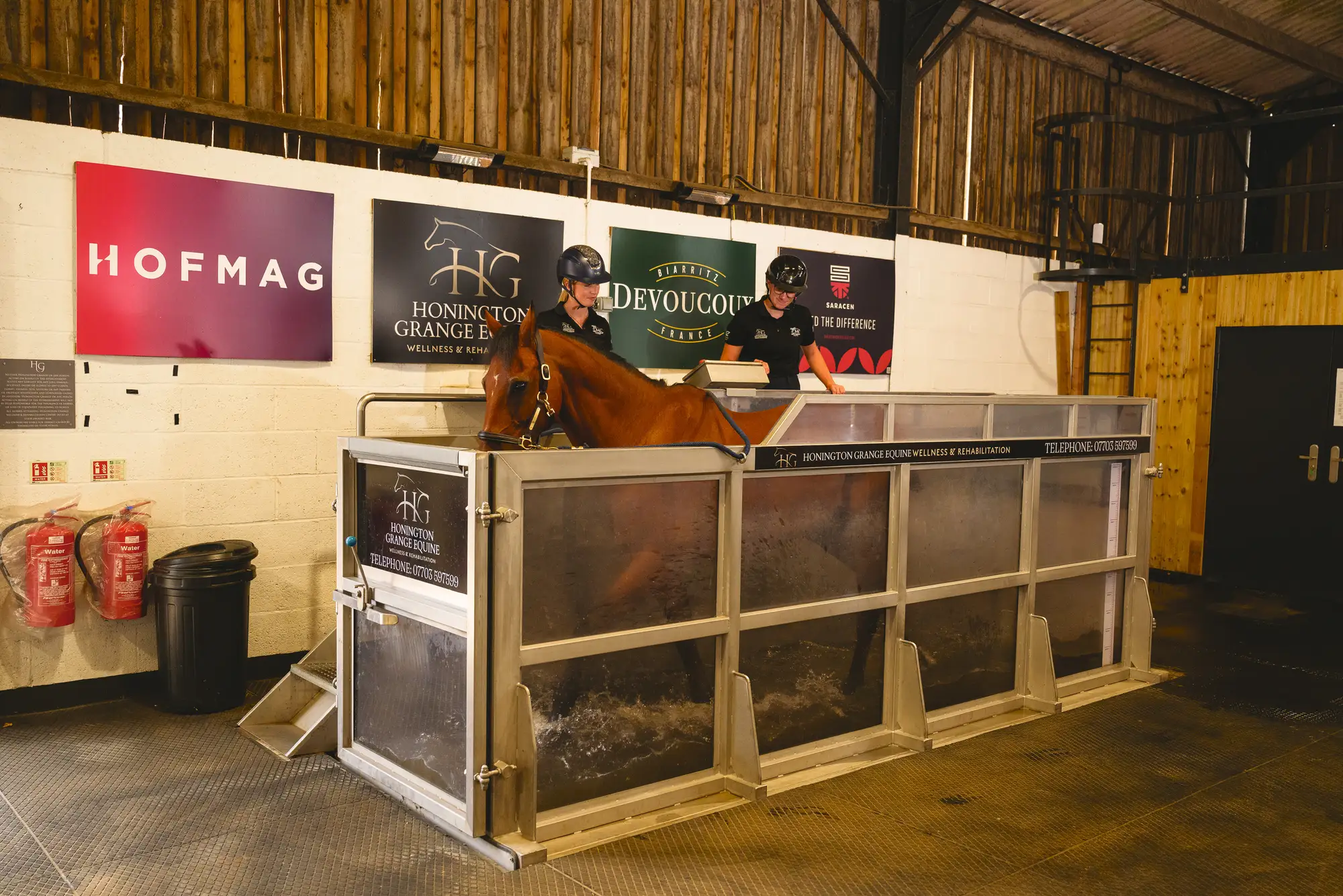Kananaskis, a bay horse, working on water treadmill in indoor barn