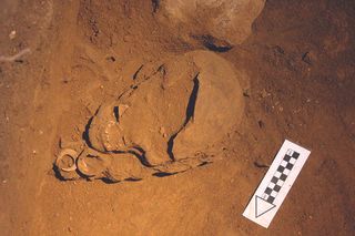 Finds of bone fishhooks from the collection (P-16808, P-16809, P-16810;