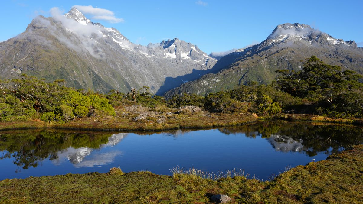 A selection of outdoor landscape photos taken with the Sony Alpha 7R VI mirrorless camera.