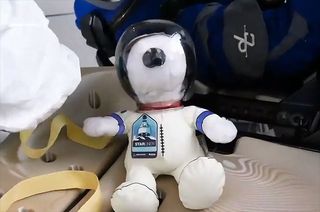 A video recorded during Boeing's Starliner Orbital Flight Test (OFT) shows Snoopy floating at the end of a tether, or leash, as the crew capsule enters Earth orbit and fires its thrusters. Later, the doll can be seen gently bouncing as the spacecraft touches down.