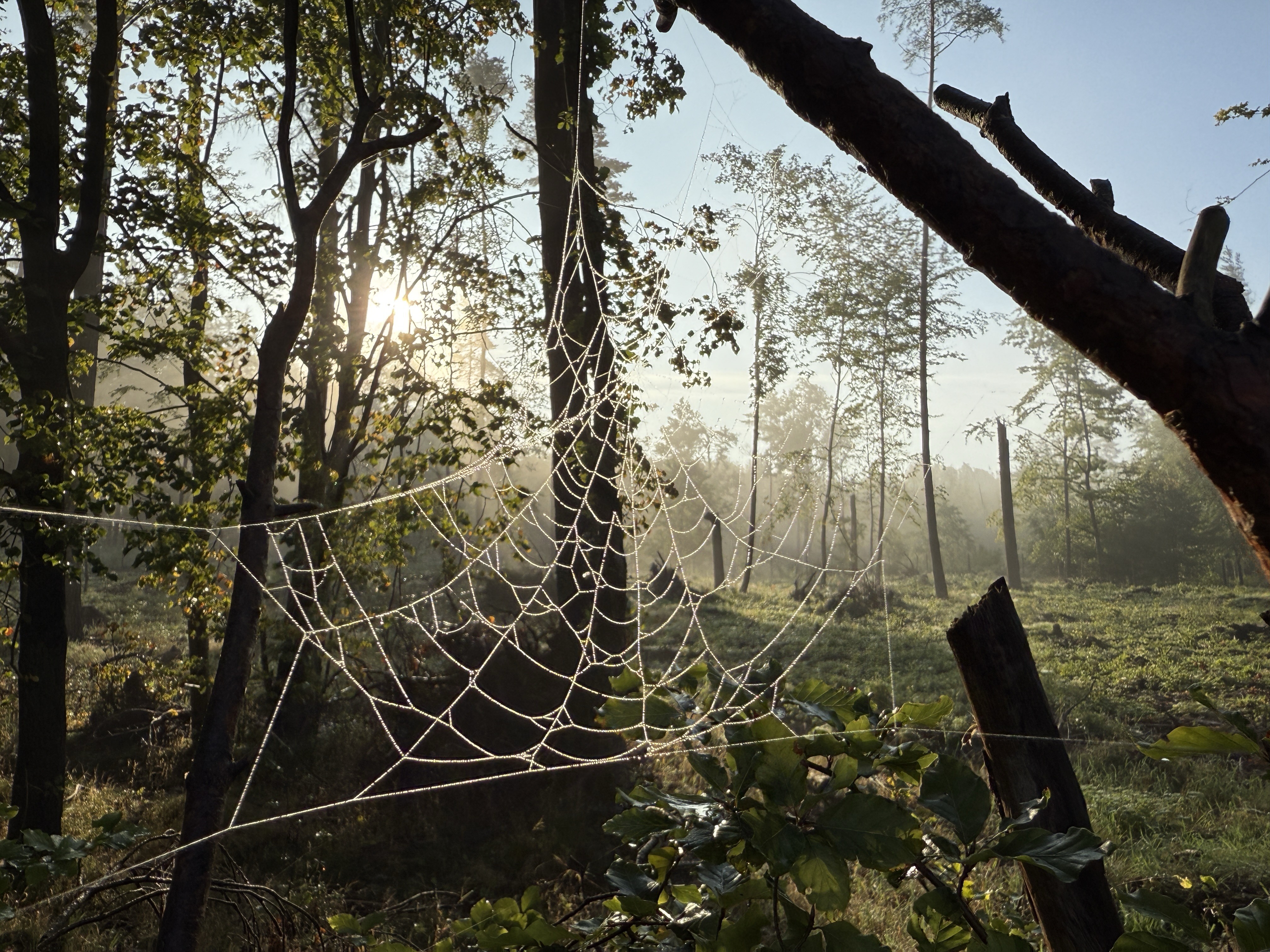 GuruShots March 2026