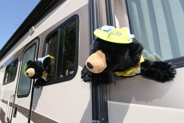 The Liquigas-Cannondale bus had Peter Sagan's California bears crawling out the windows.