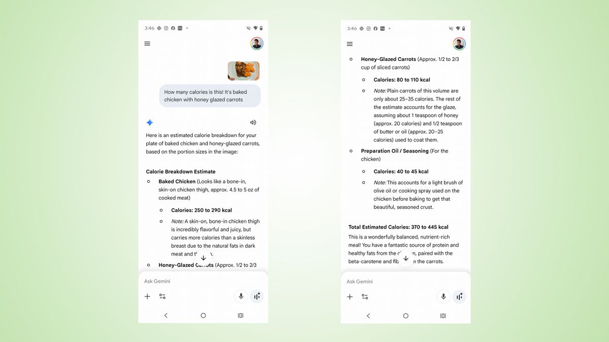 Google Gemini calorie tracker screenshots.