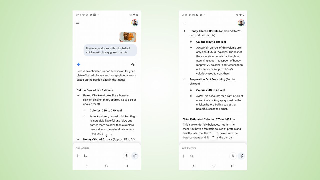 Google Gemini calorie tracker screenshots.