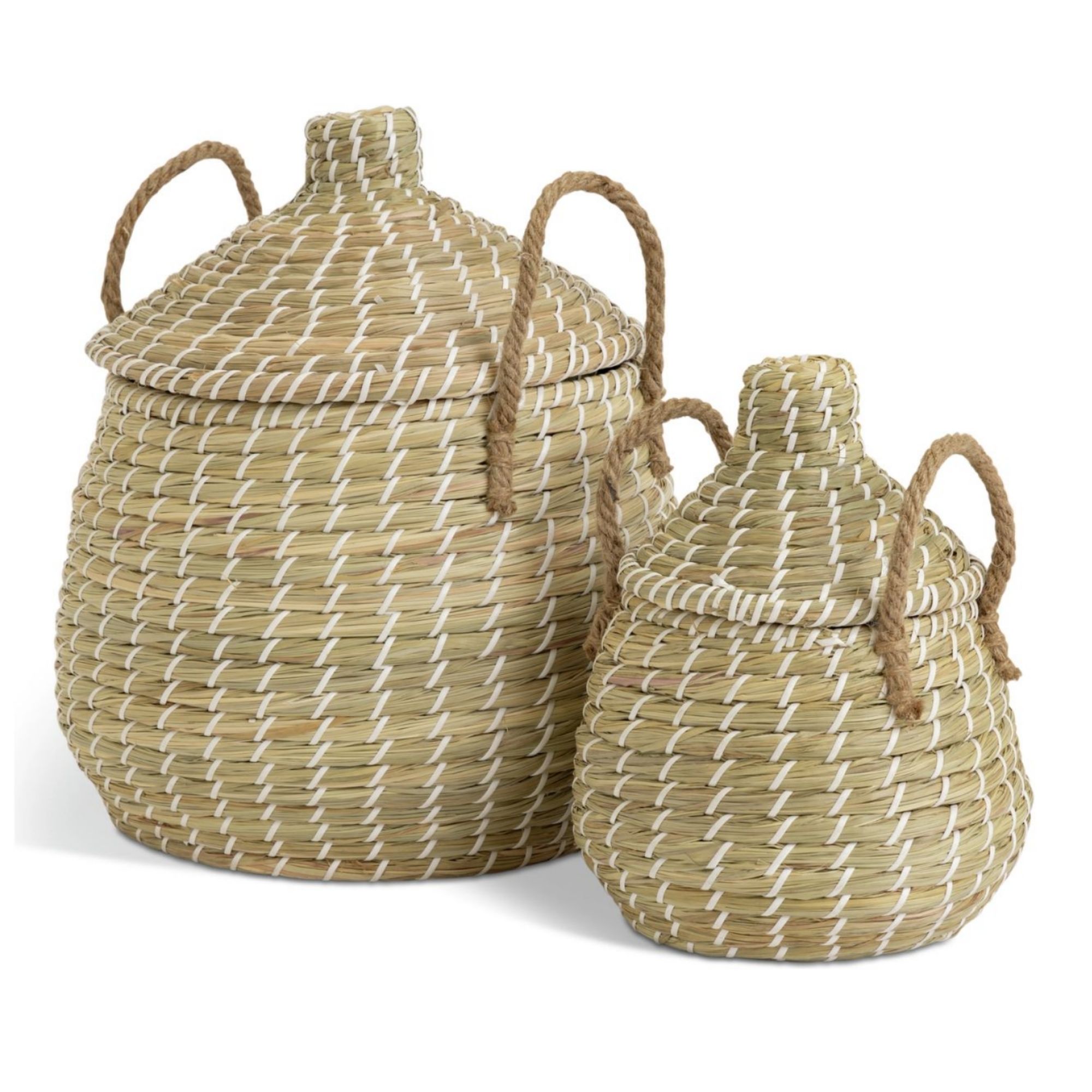 Habitat Pack of 2 Seagrass Lidded Round Basket