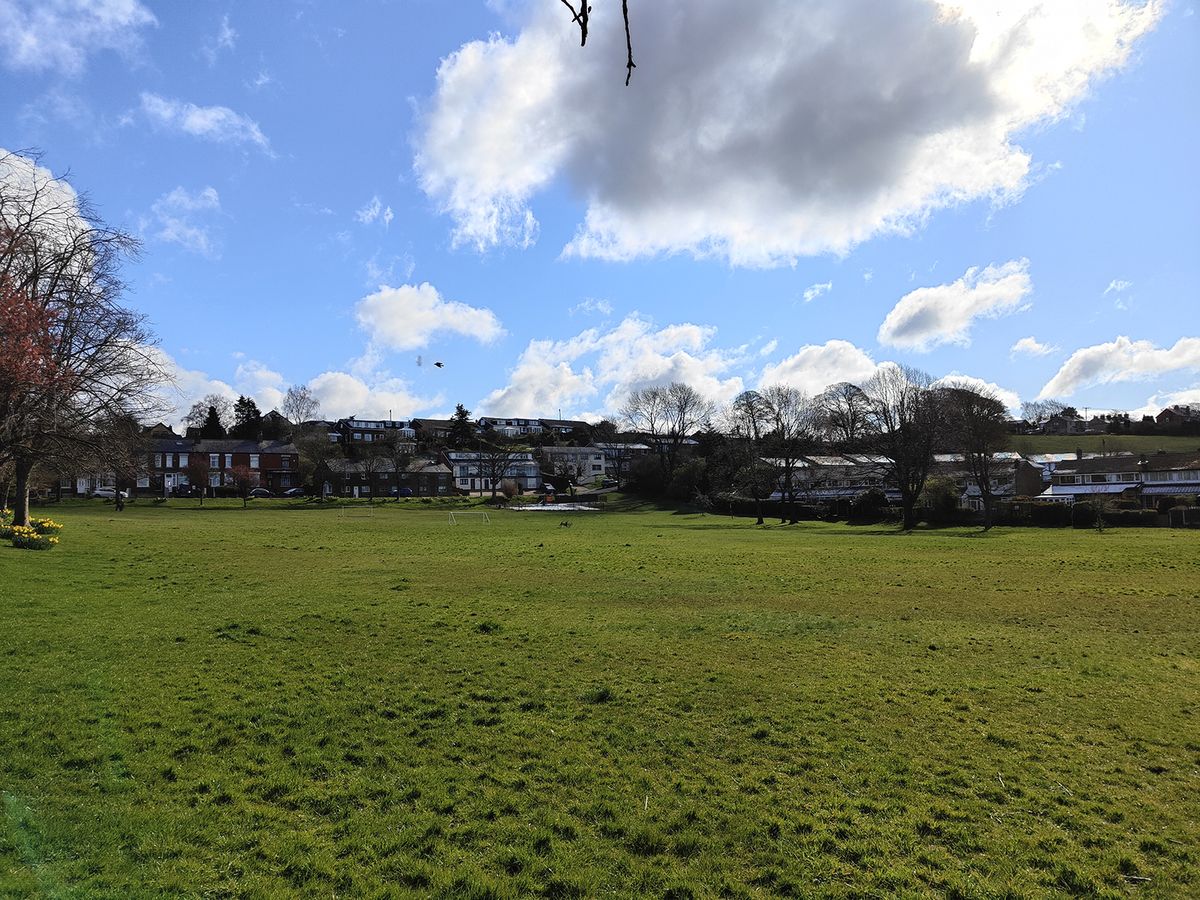 Oppo Find X5 camera sample showing a field