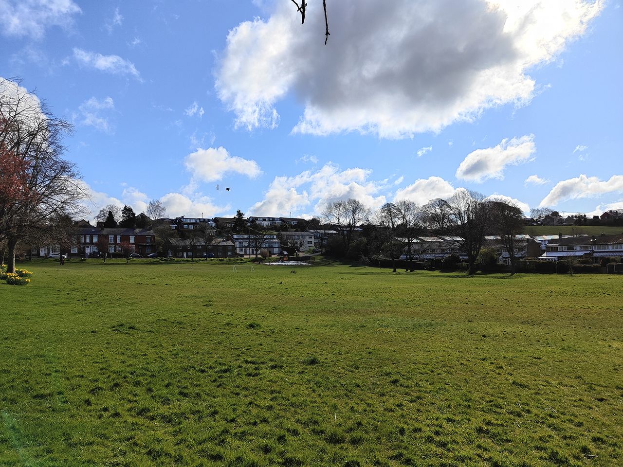 Oppo Find X5 camera sample showing a field