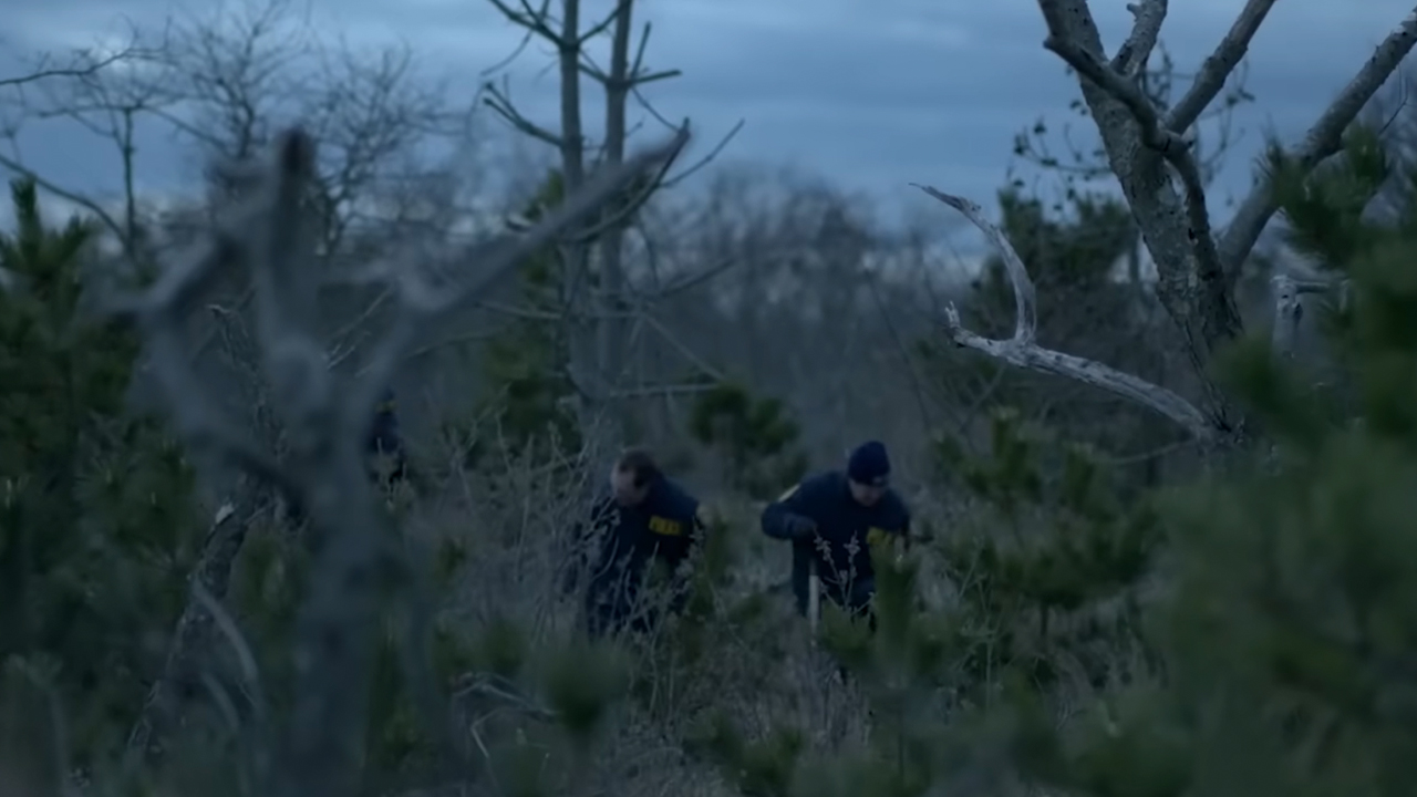 『ゴーン・ガールズ：ロングアイランド連続殺人事件』でブラシを捜索する2人の警察官