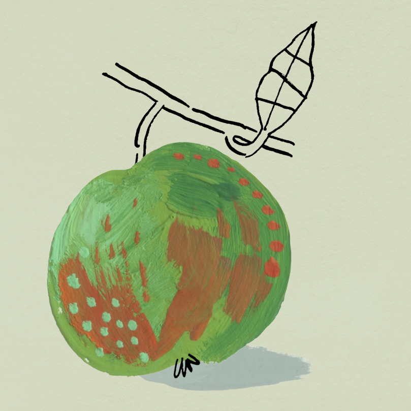 Colour illustration of a heritage apple