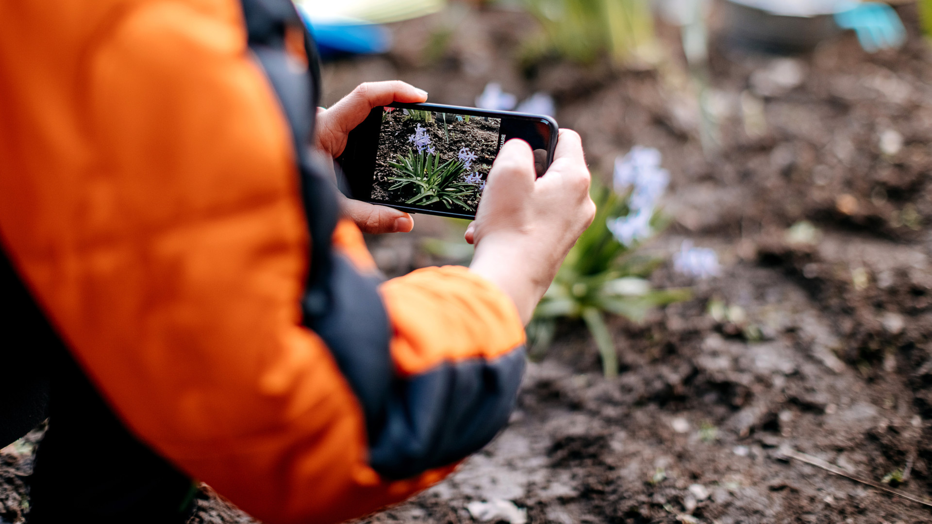 A woman taking a picture of a plant