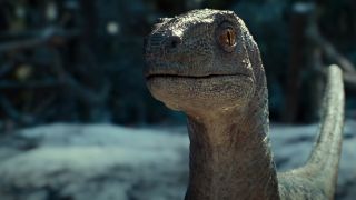 A close up of Beta the Velociraptor in the movie Jurassic World Dominion.
