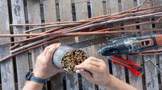 DIY wildlife shelters - making a simple bug hotel from canes and a tin can