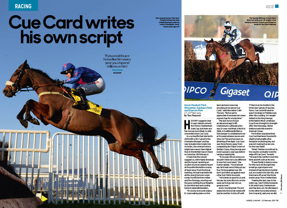 RA-Ascot-and-Haydock-4pp.jpg