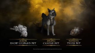 Pets in Diablo 4